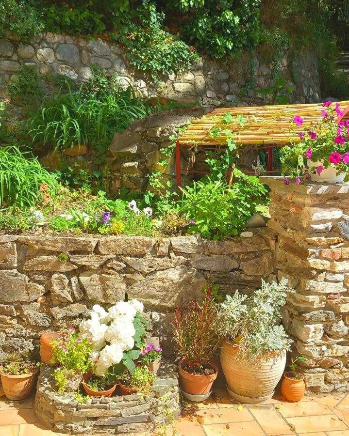 Maison Do Mi Sol Reynès Exterior foto